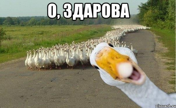 Світлодіодизація, ремонт гальм та інше ч.2 1