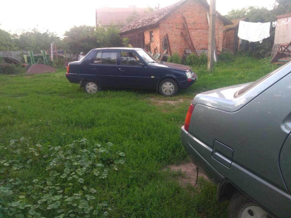 50 на 50 або Допомога другові 2