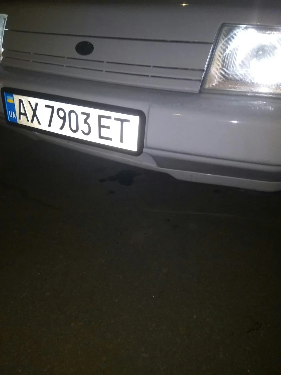 Кіт у мішку.