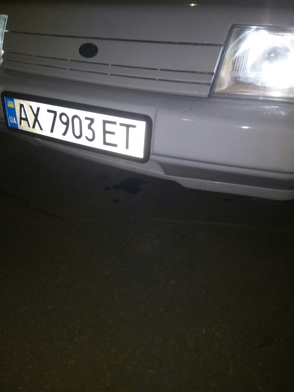 Кіт у мішку. 1