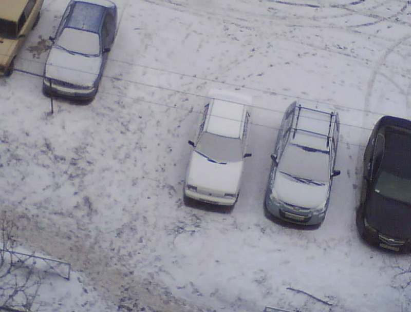 Зимова сплячка 1