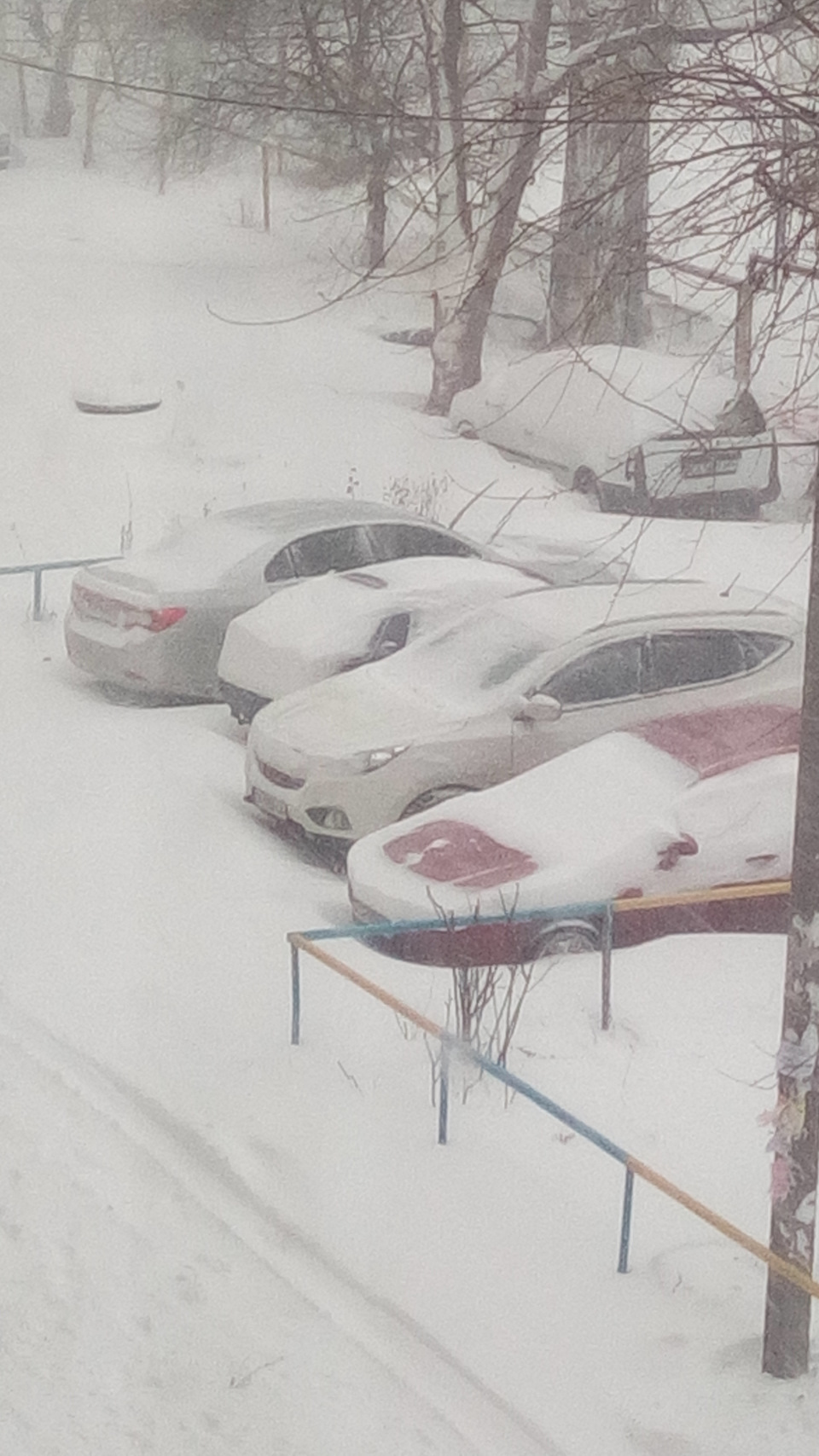 Замело 1