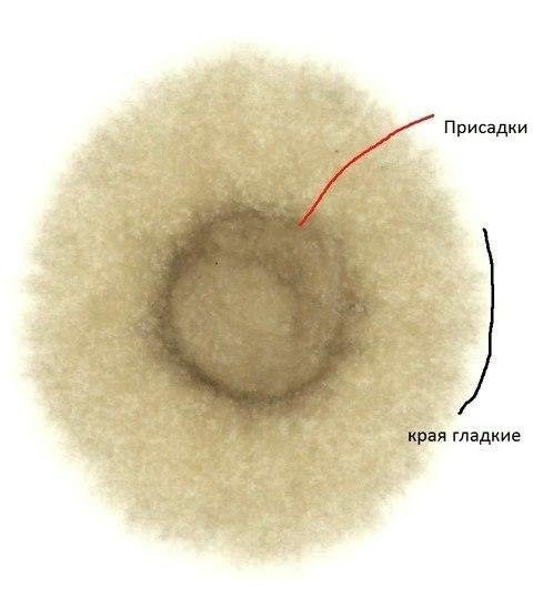 Перевірка моторного масла 3