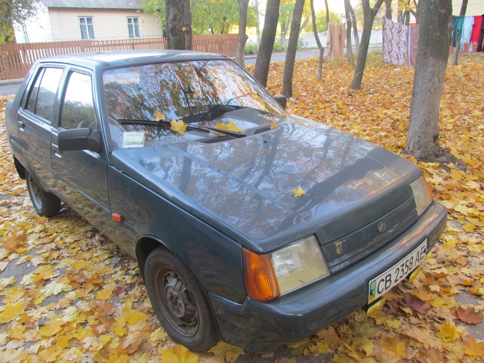 Застрахувався 4