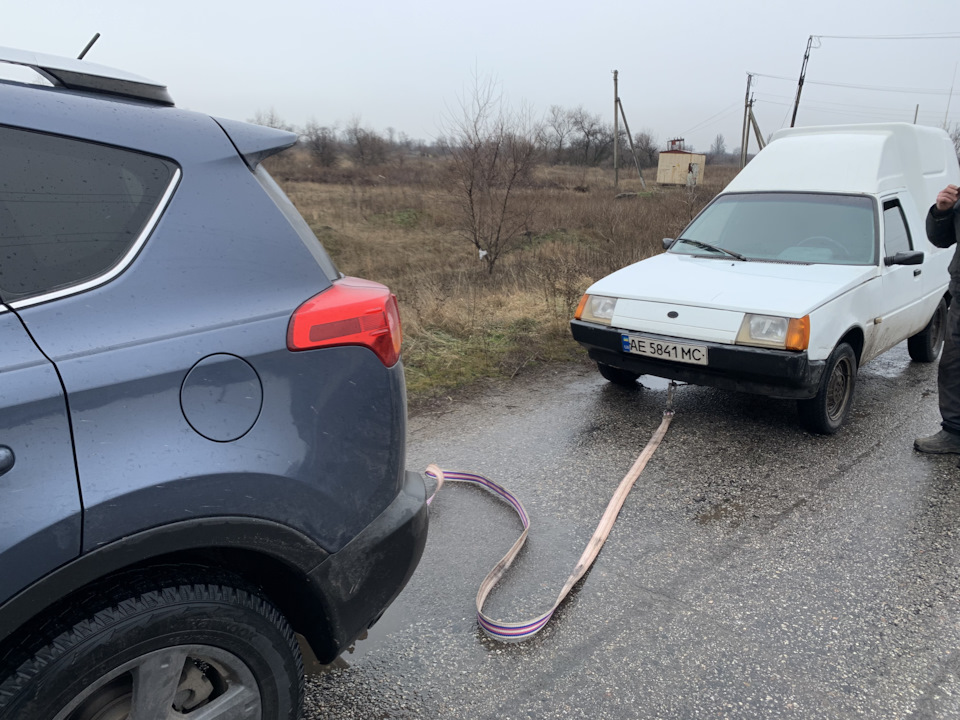 Як тосол може зіпсувати всі плани(( 5