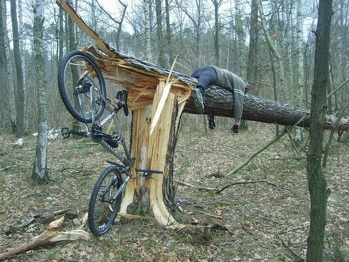 хто де замовував шини 1