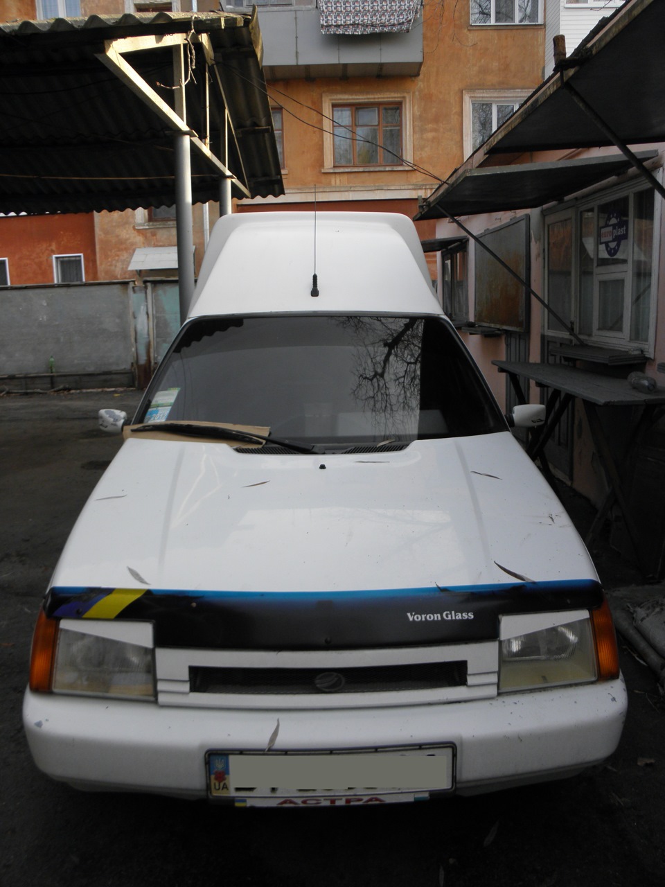 Кілька фоток 3
