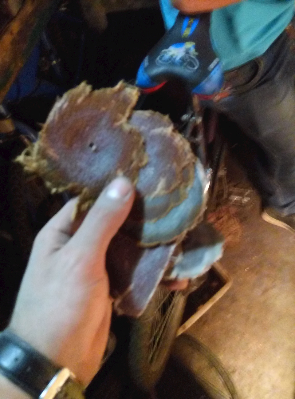 Чухалися під пивом. 1