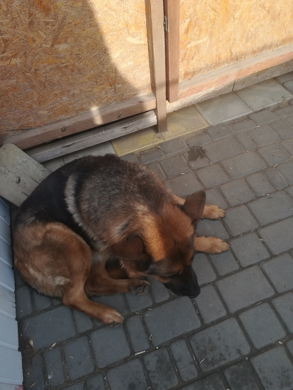 Заміна зовнішнього шрусу 2