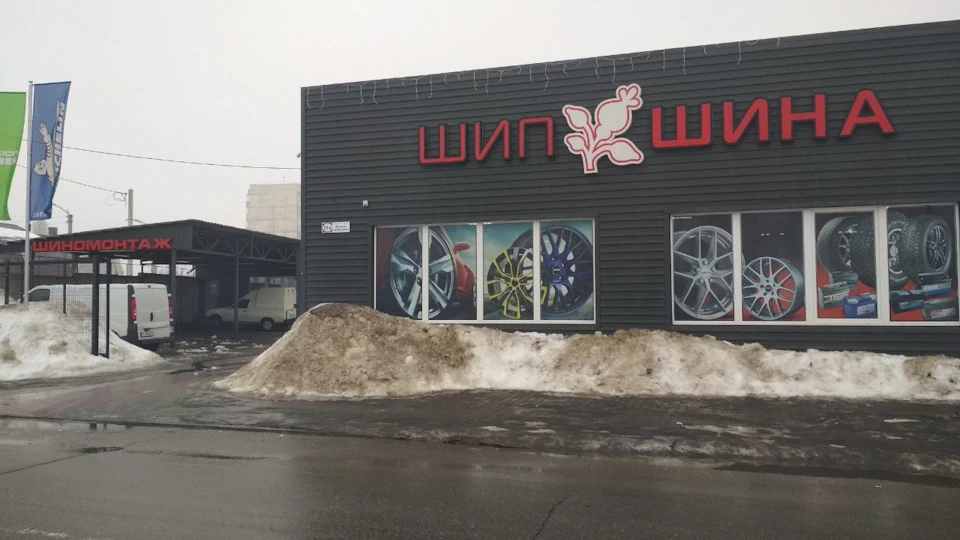 Покупка гуми Зима