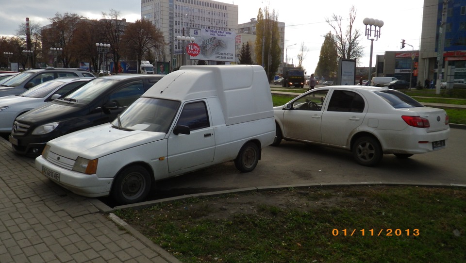 Стадо оленів у Білгороді 1