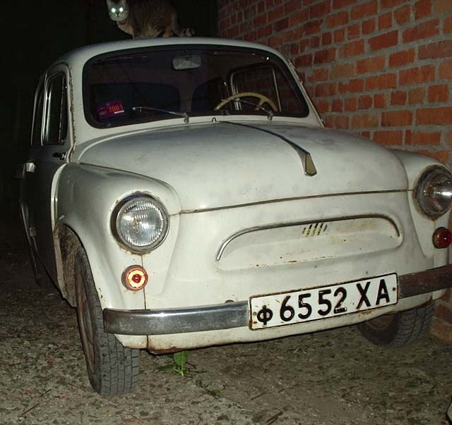 Покупка горбатого 1