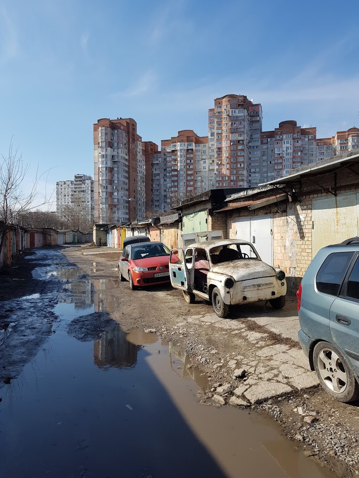 Як я став щасливим власником авто з-під дерева 1
