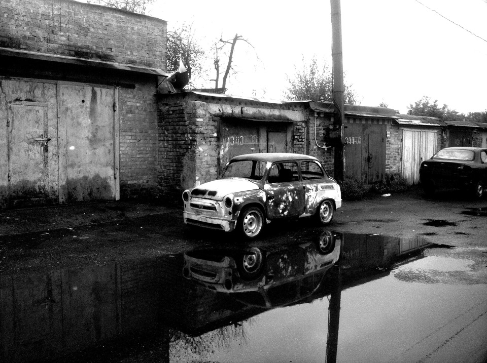 Фото з фарбування 1