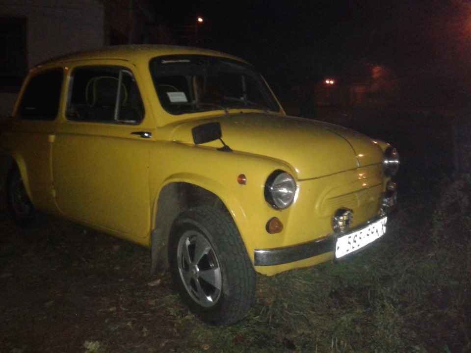 Провідали Ципу 1