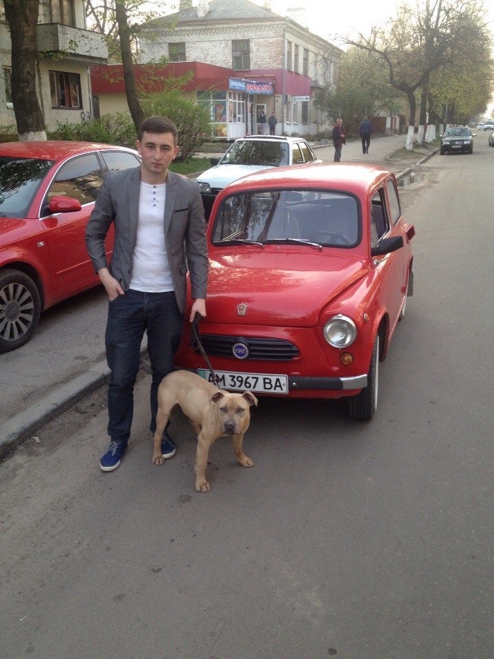не багато тіл, що позують у дракончика 1