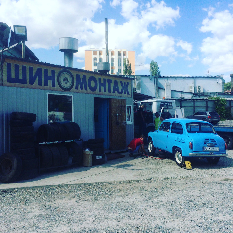 Перша професійна фотосесія за участю моєї Жужель!)) 5