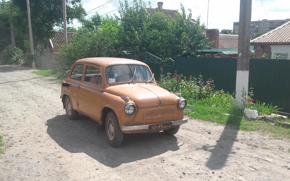 Покупка Жужика 1