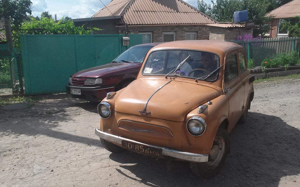Покупка Жужика 2