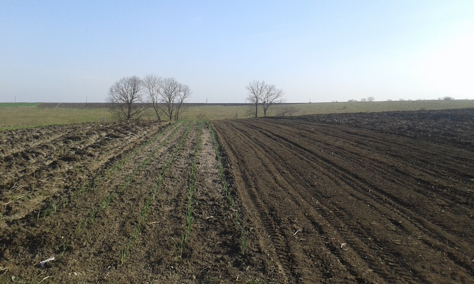 Капот.Самовівіз. 3