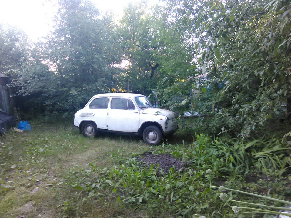 Все ж ці історії бувають правдивими 5