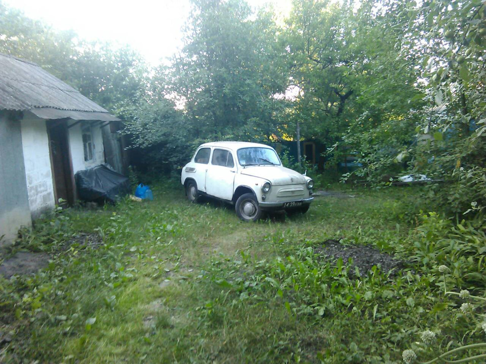 Все ж ці історії бувають правдивими 4