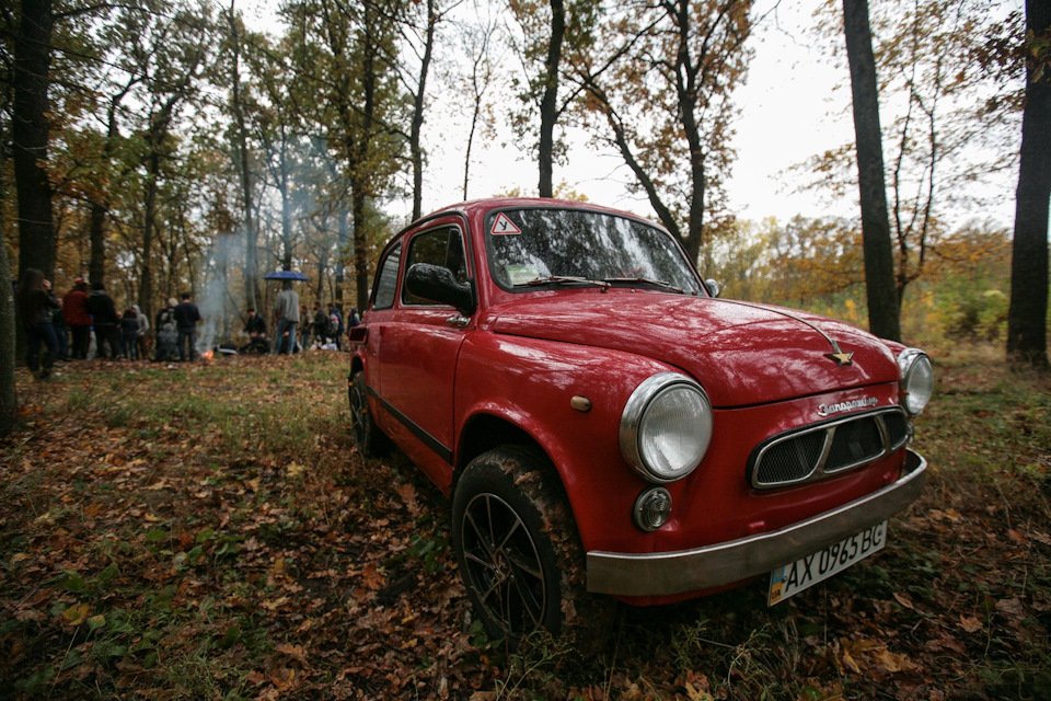 965 Panini на осінній прогулянці:) 4