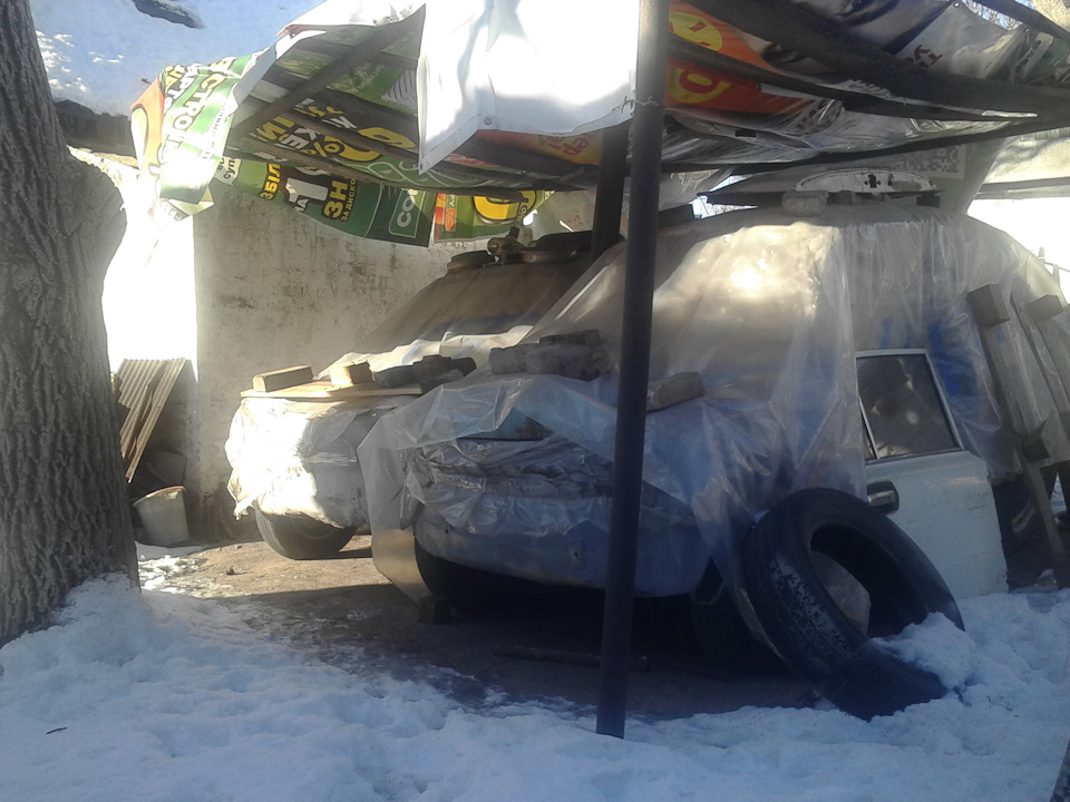 Як горбики зимують під навісом 4