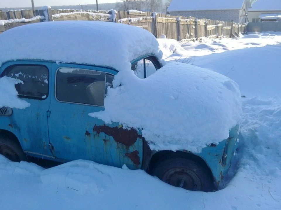 Пролісок