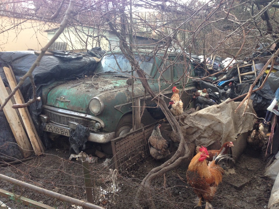 Ось така старість: ( 3