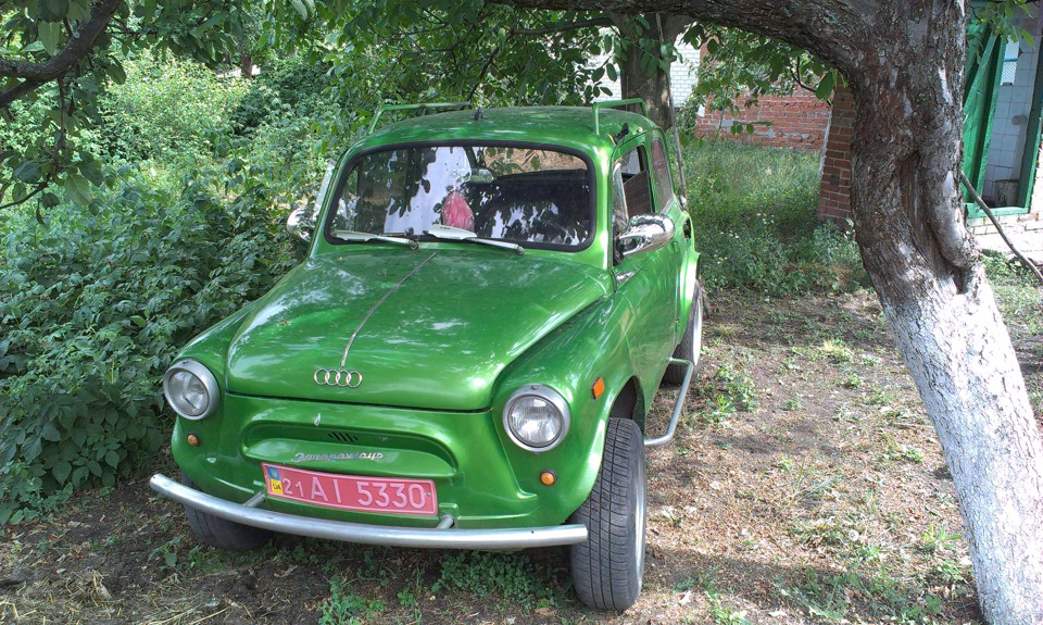 ЗАЗ 965 1