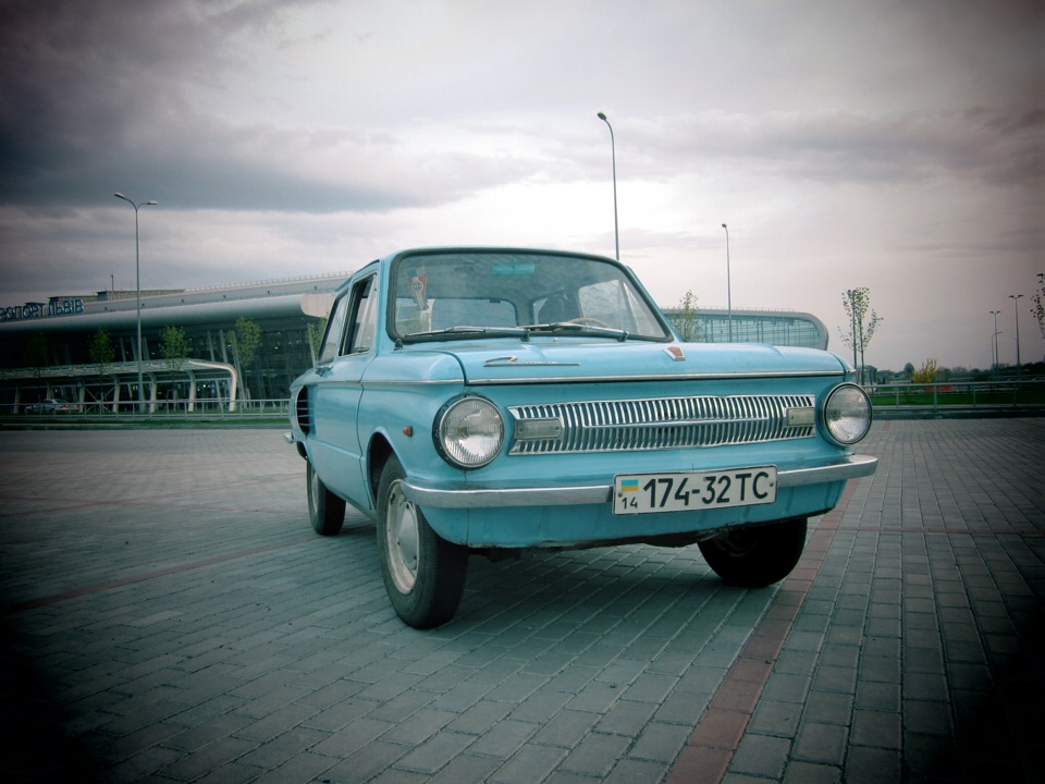 Жужик 1
