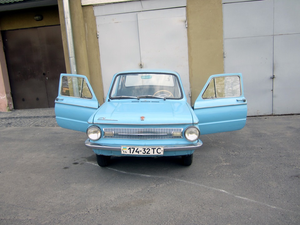 Жужик 5