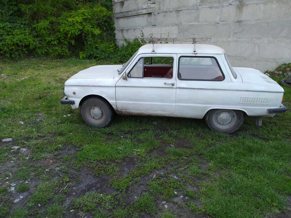 Несподівана покупка 1