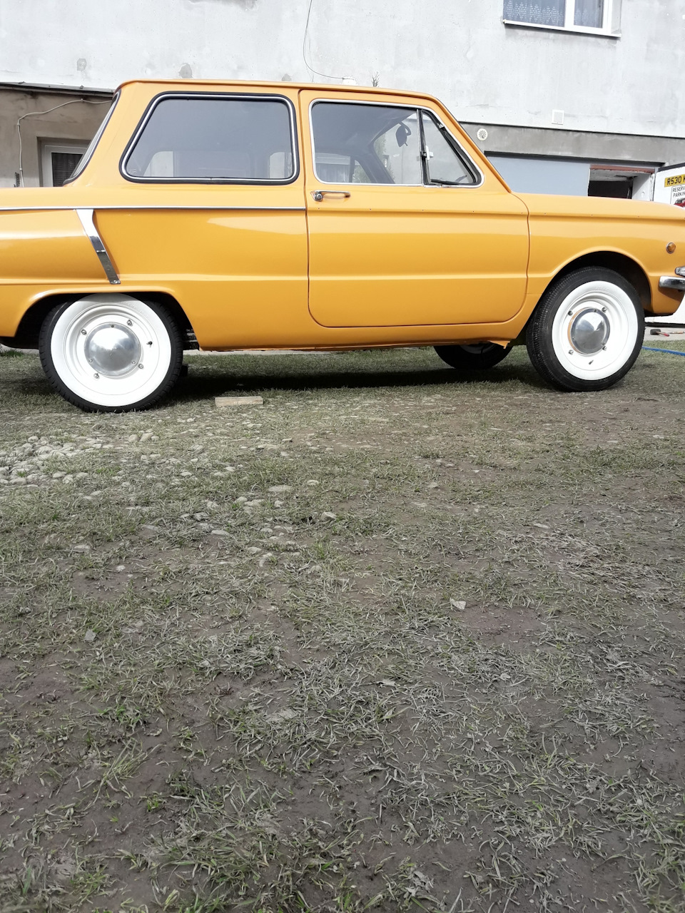 Вайтволли 5