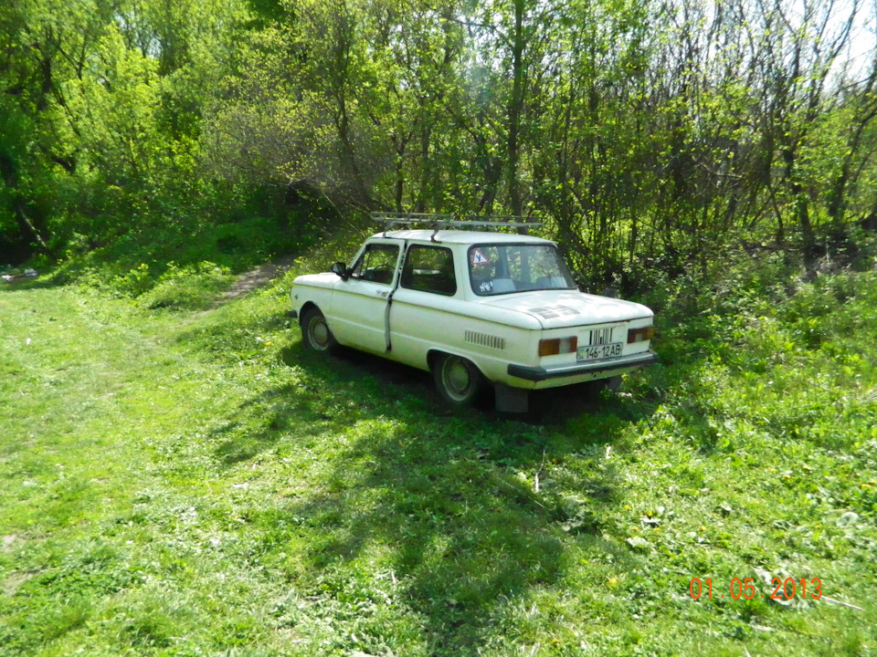 Ось і продав свого Жужика 3