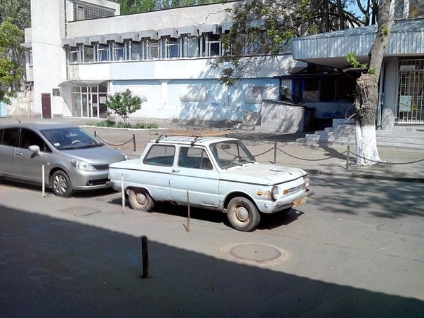 ось таким я його забрав)) 3