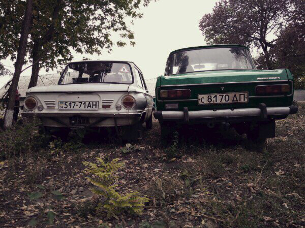 Просто фото мого Жужика)😎🚗 3