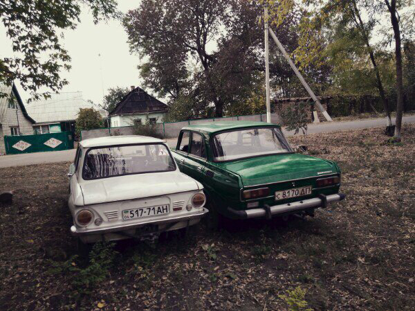 Просто фото мого Жужика)😎🚗 2
