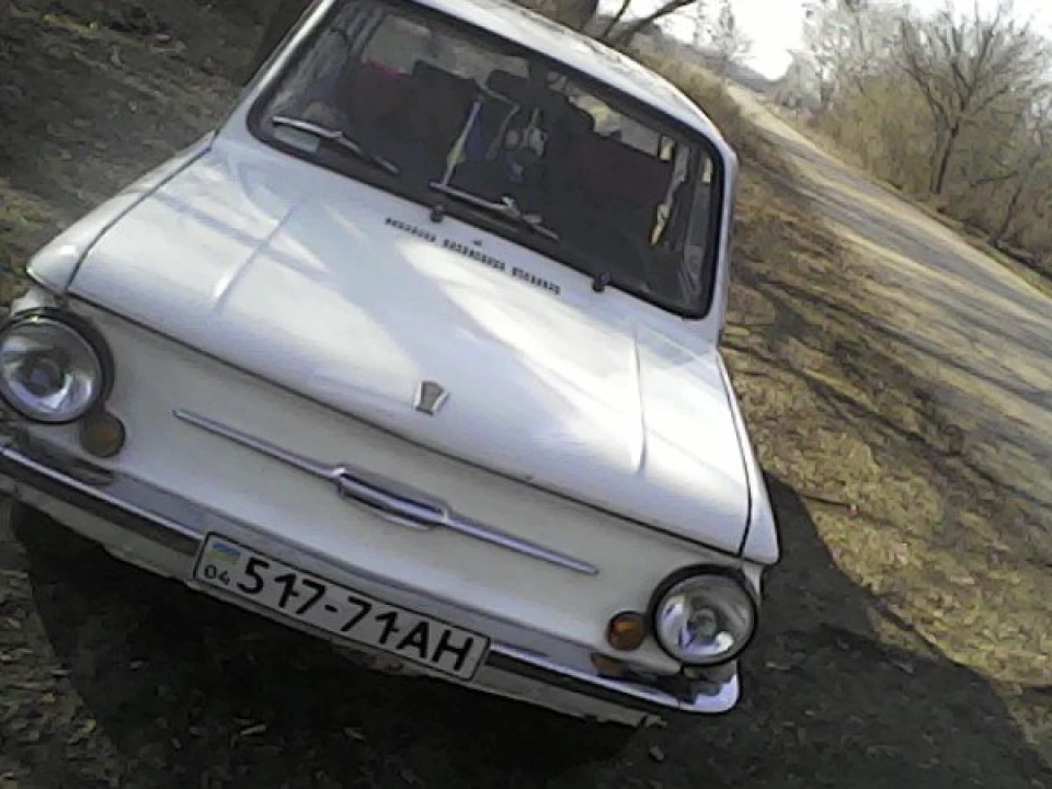 Жужик, після весни)