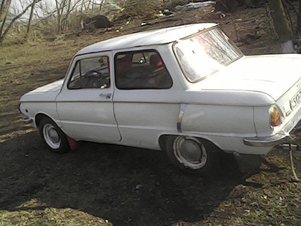 Жужик, після весни) 4