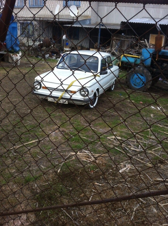 ОПОССУМ 1