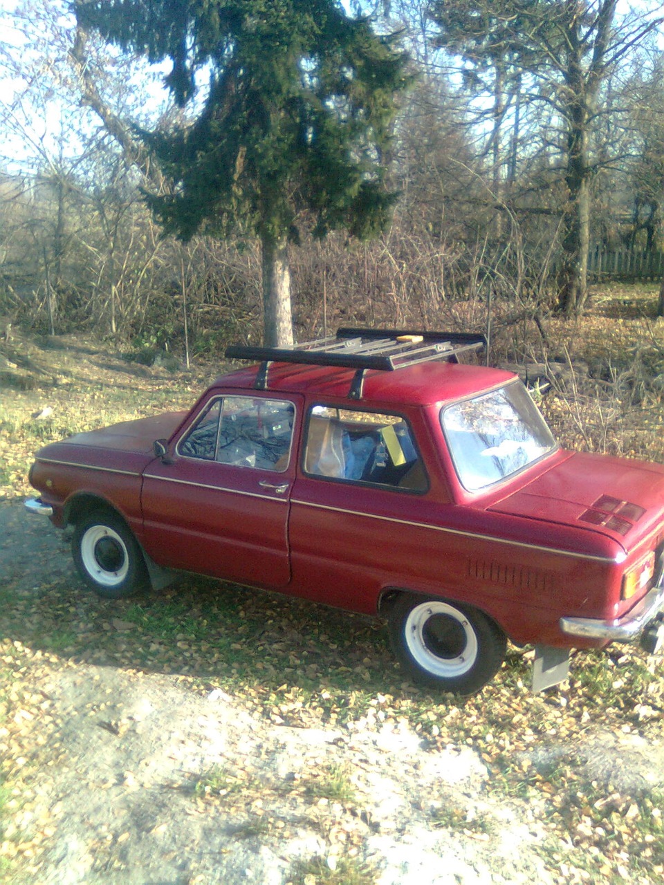 Пару нових фоток 1