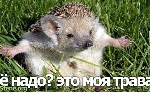 ДНІПРО 3