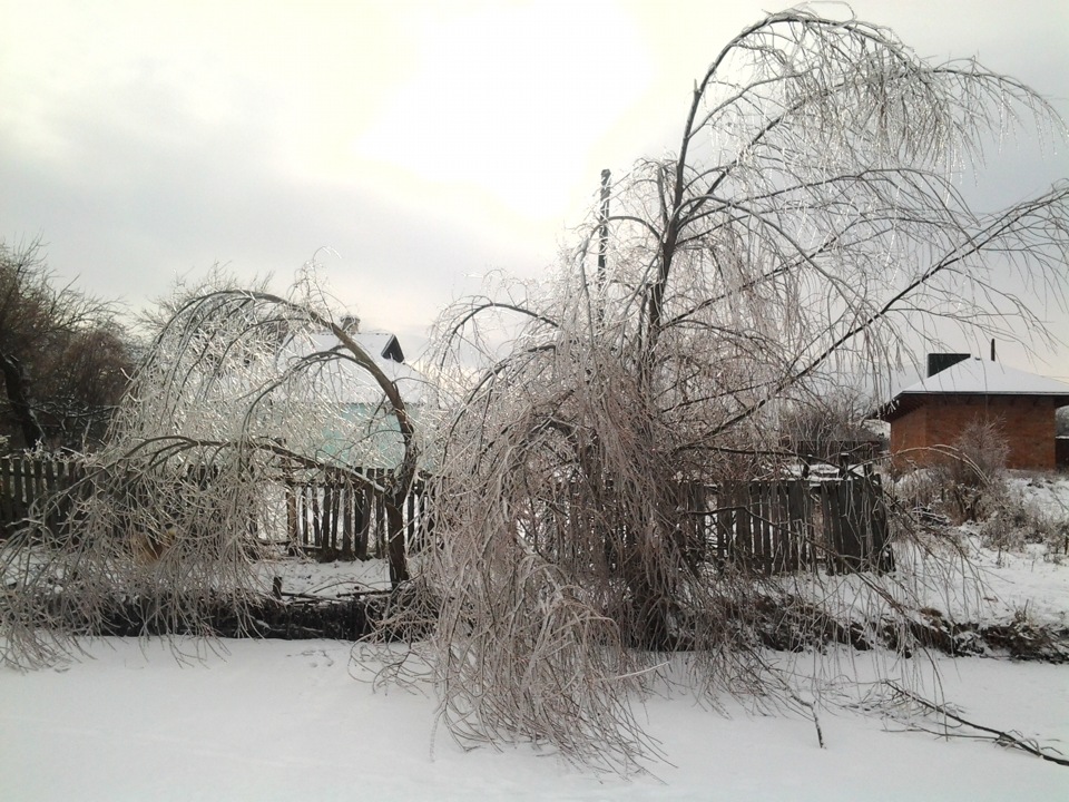 Погодка сьогодні видала гарна 2