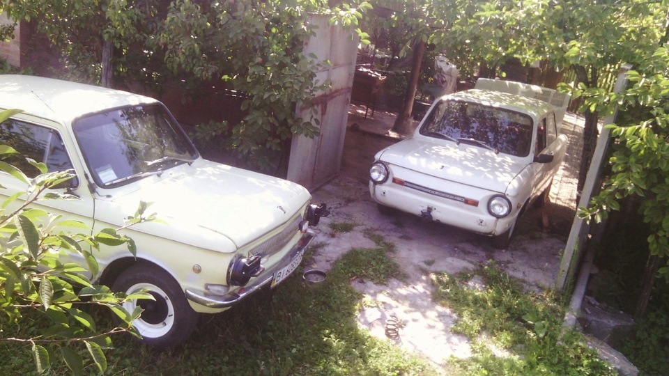 КОМУ ЗАЗИК? 3