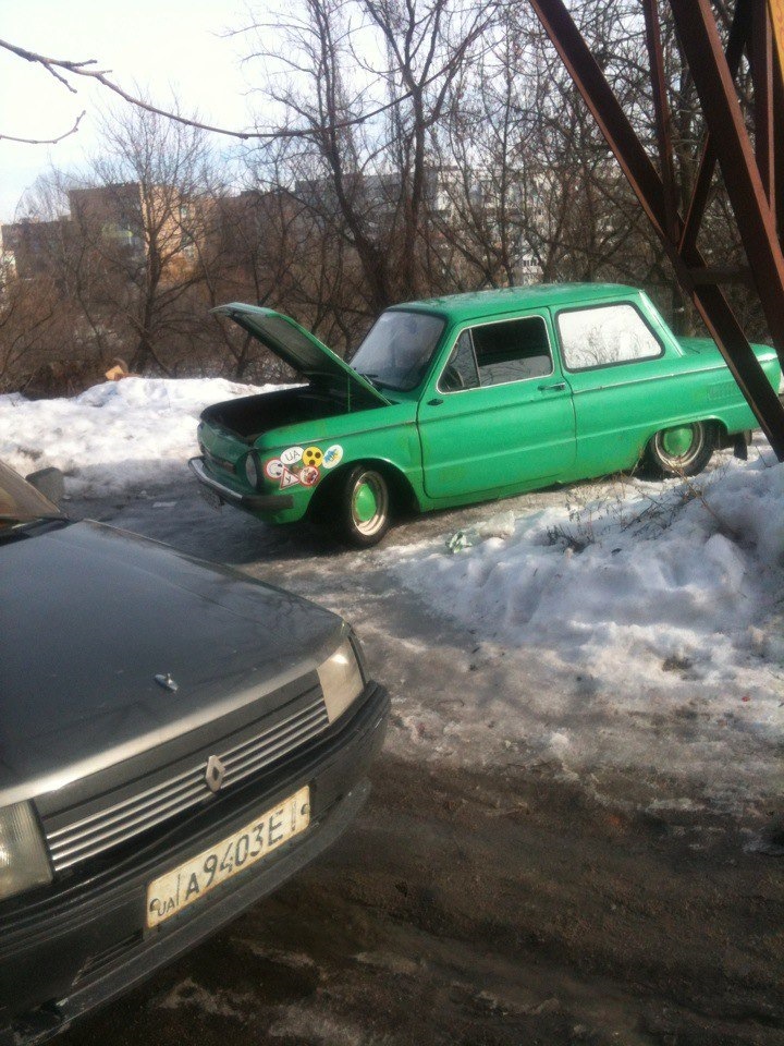 Черепашка на посадці ** Продовження) 1