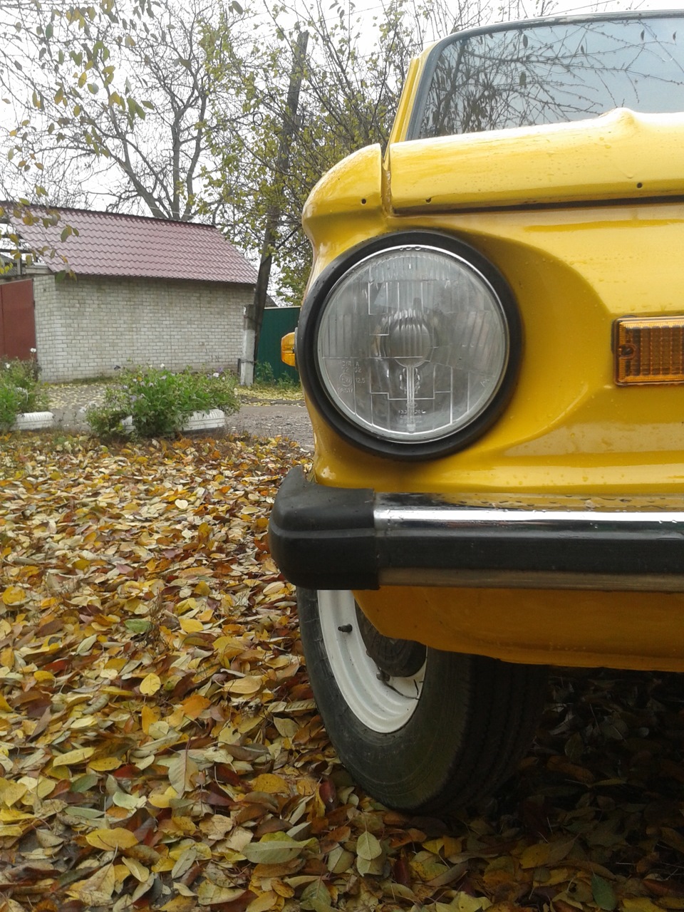 пару фоток 1