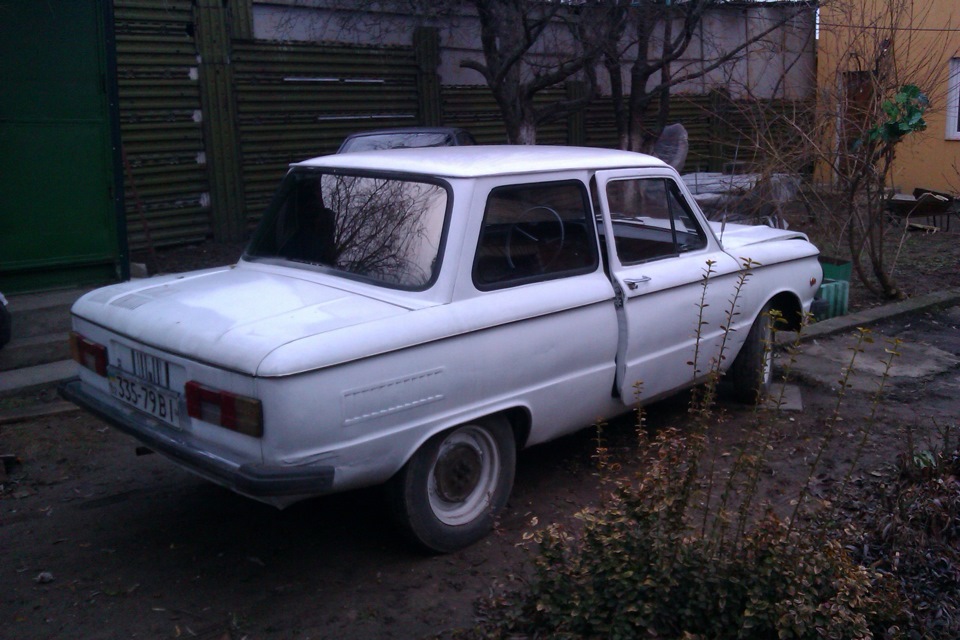 милий бійко 5