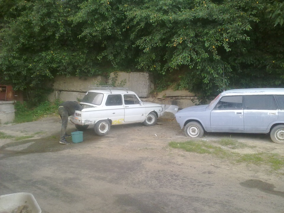 морда 4